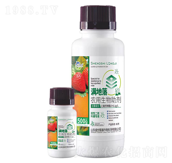 �M(m��n)����-�r(n��ng)����������-ʢ��¡��