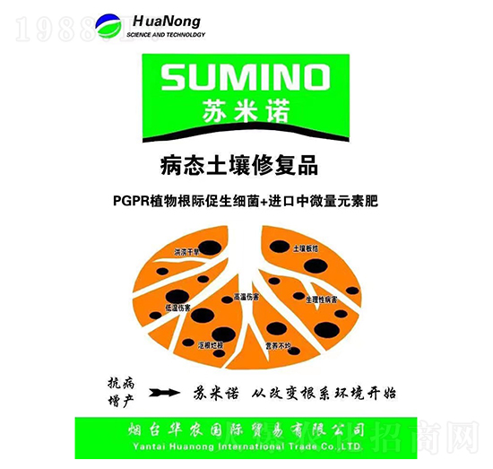 �K���Z���B(t��i)�����ޏ�-�A�r(n��ng)���H