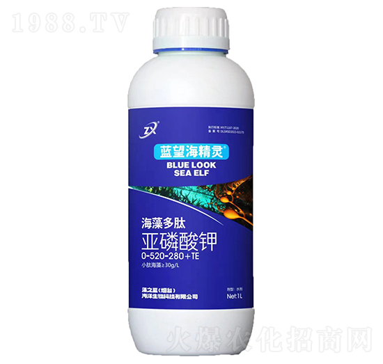 ������ā������-�{(l��n)�������`-��֮�{(l��n)