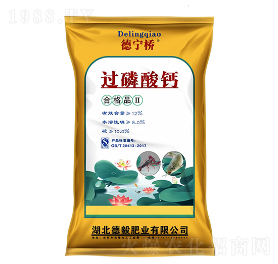 �����^(gu��)�����}-����ʘI(y��)