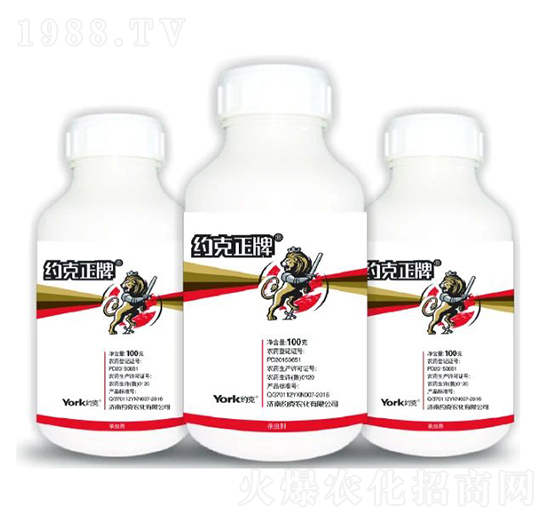 8%���x(ch��ng)��Ҹ��N��-�s������-�s���r(n��ng)��