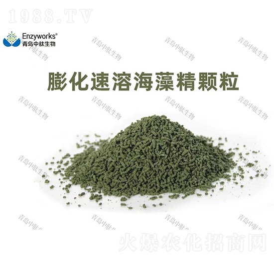 �����ܺ��徫�w��-���u��������