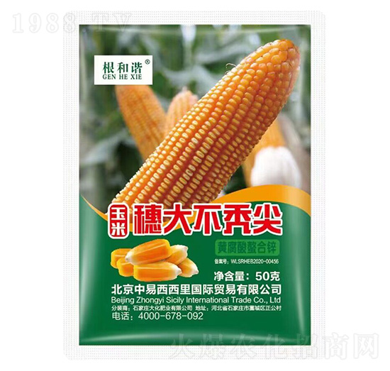 ������󲻶d��-�����C-����������