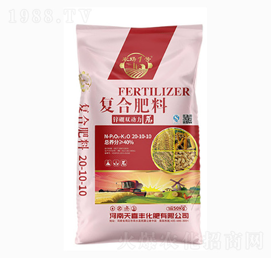 �ͺϷ���20-10-10-�\���p����-��ϲ�S