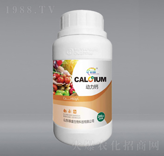 �����}-��ʢ����