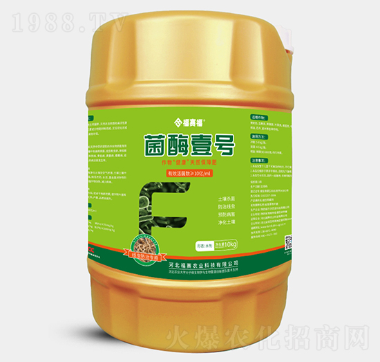 ��øҼ̖-��ِ��