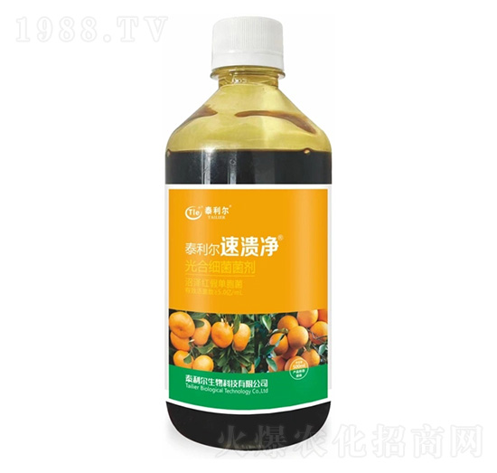 ��ϼ�������-�ٝ���-̩����