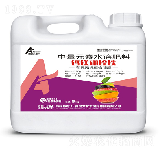 �}�V���\�F-��¶�����S