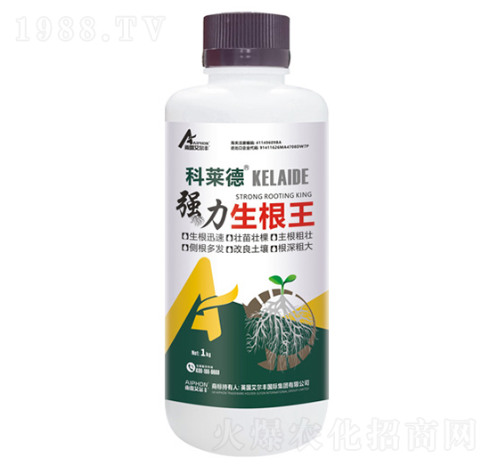 ��(qi��ng)��������-���R��-��¶�����S