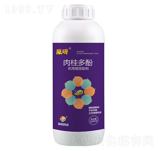 �����-��ѽ-���r����