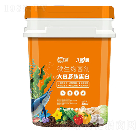 �󶹶��ĵ���΢�������-����