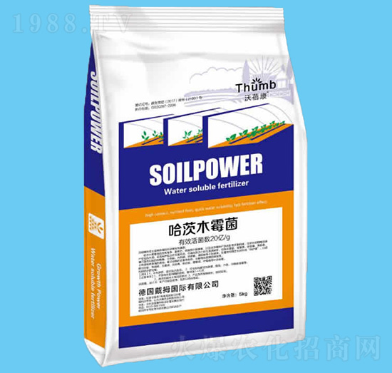 20�|�������ľù��-������-����r(n��ng)�I(y��)