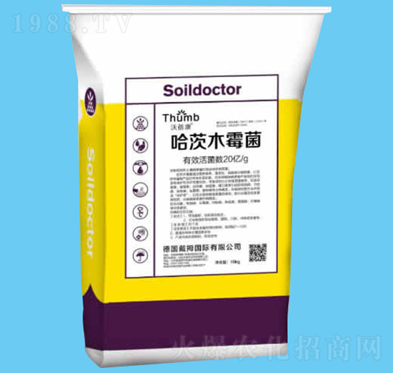 ����ľù����20�|�����-������-����r(n��ng)�I(y��)