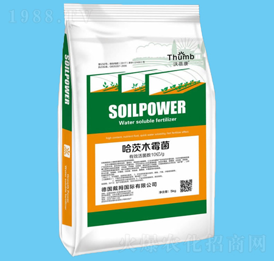 5kg����ľù����10�|�����-������-����r(n��ng)�I(y��)