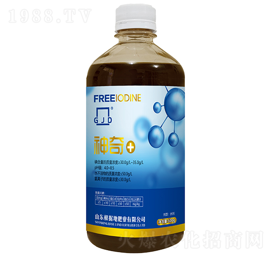 ����+����V�V�����Ƅ�-����(j��)�طʘI(y��)