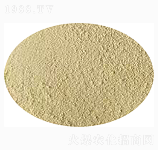 ȫˮ���~С���~����-��˹�r