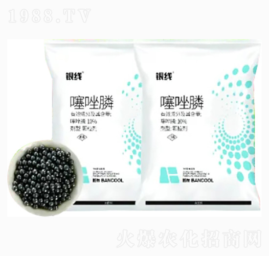 10%������w����-�y��-�߲�����