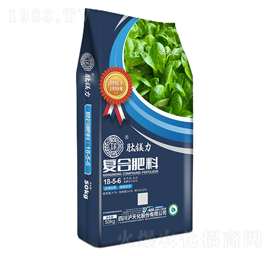 �ͺϷ���18-5-6-���V��-���r(n��ng)-�o�컯