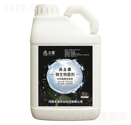 ����Ȫ΢�������-��¶