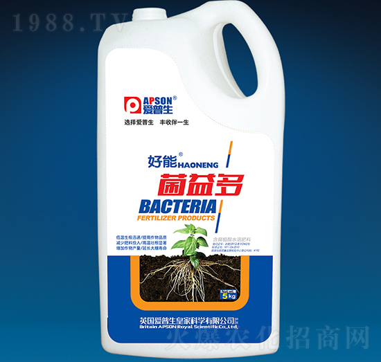 �����-����-������