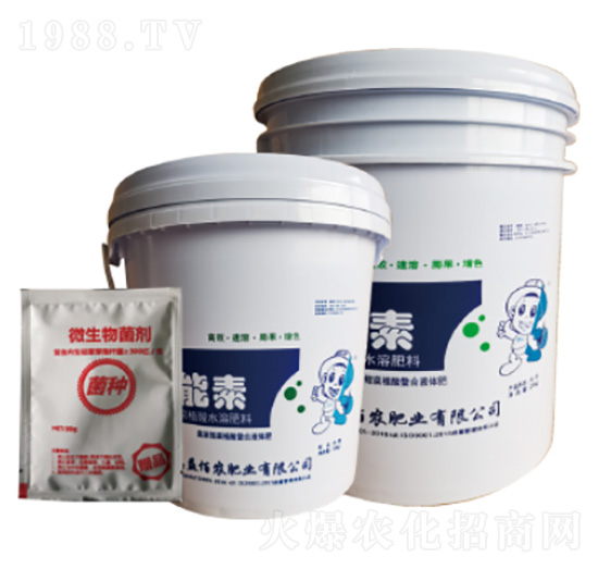 ������-����r�ʘI(y��)