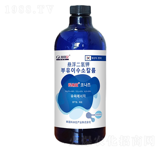 �Ҹ������-�Ƽ{Ɲ