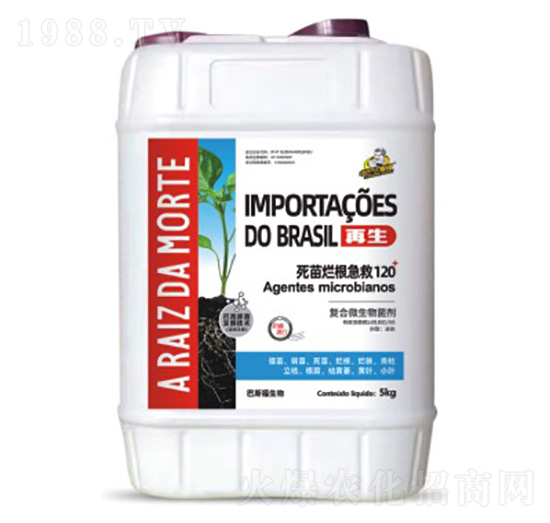 ���à��缱��120-����-��˹��