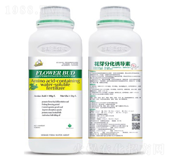 ��ѿ�ֻ��T��(d��o)��-��˹��