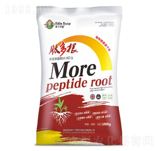 �Ķ��-��(��i)������