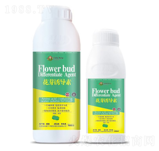 ��ѿ�T��(d��o)��-�۶�����