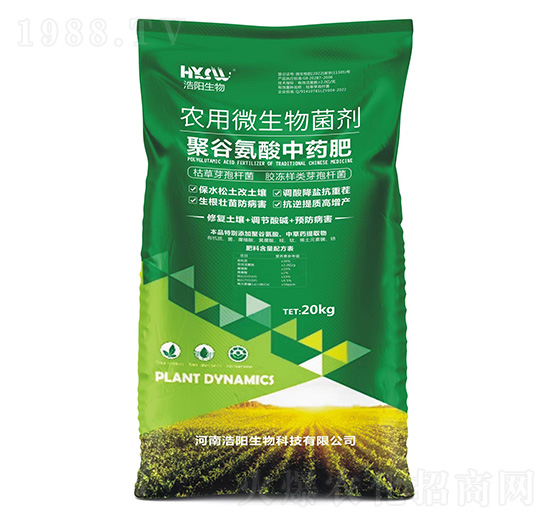 �۹Ȱ�����ˎ��-�������