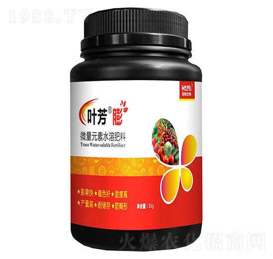 �~����-���(y��ng)����