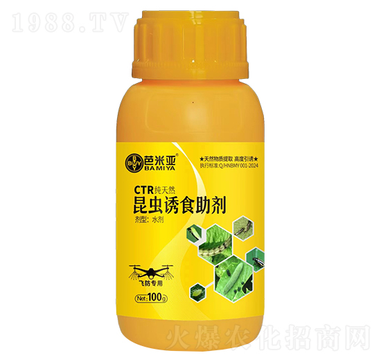 �w���������x�Tʳ����-���ׁ�