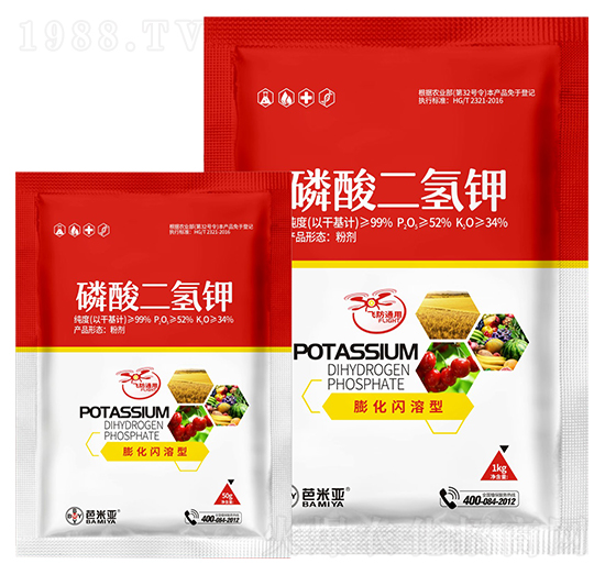 ���W���ʹ�������-���ׁ�