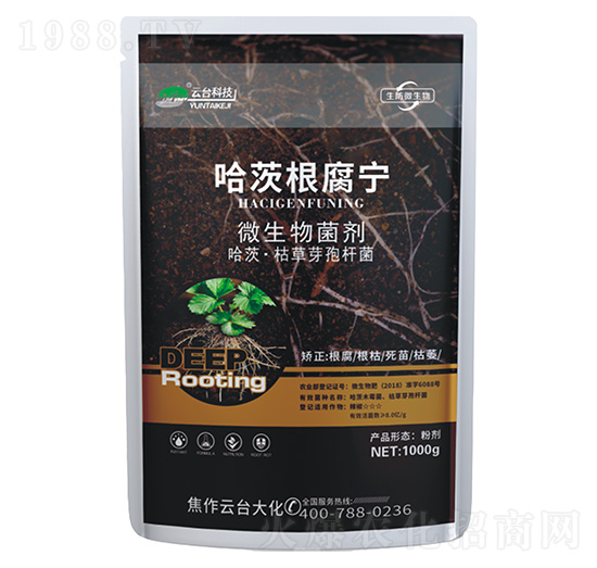 ���ĸ�����-���_(t��i)��