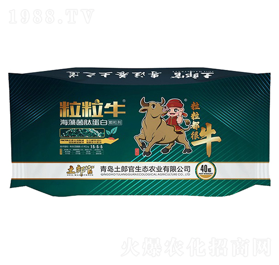 ����ţ������ĵ���-���ɹ�