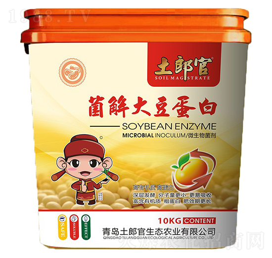 ����󶹵���-���ɹ�