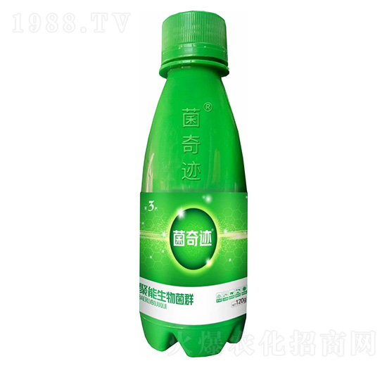 �����E���������-�����E