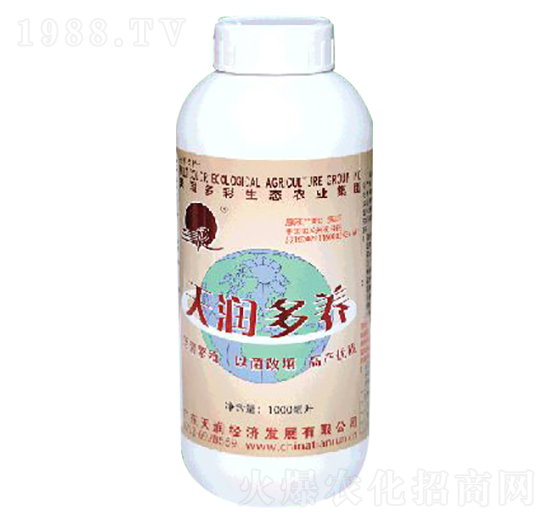 �읙(r��n)���B(y��ng)-�V�|�읙(r��n)