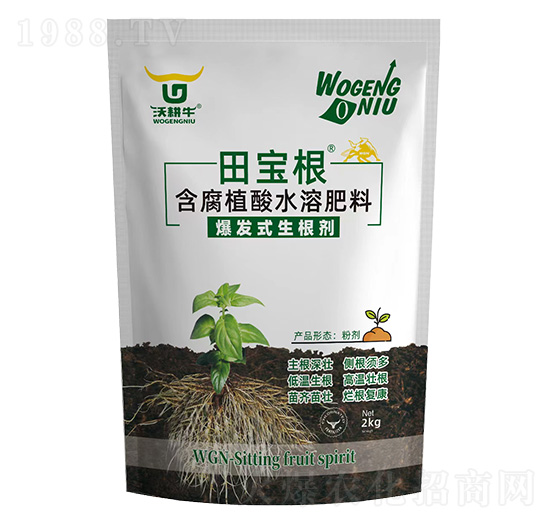 ���l(f��)ʽ������-���-�ָ�ţ