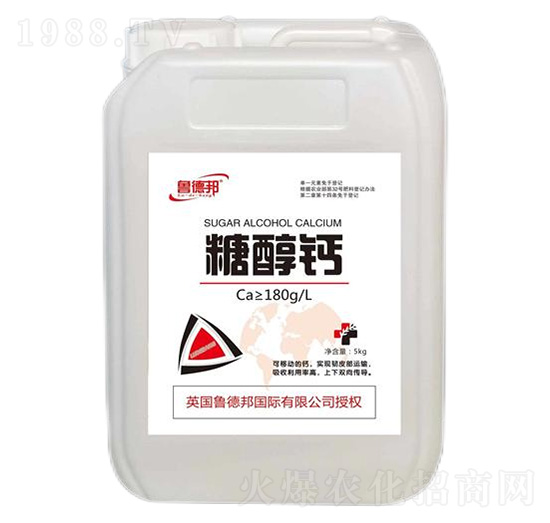 �Ǵ��}-���°�