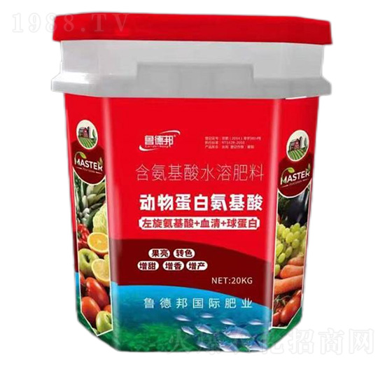 ���ﵰ�װ�����-��?sh��)°? style=