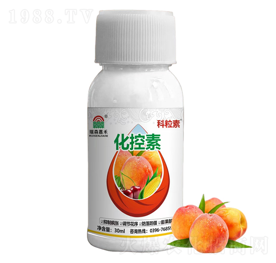 ������-������-��ɭ�κ�