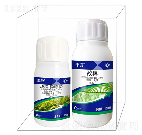 ���޽M���a���-����¡����