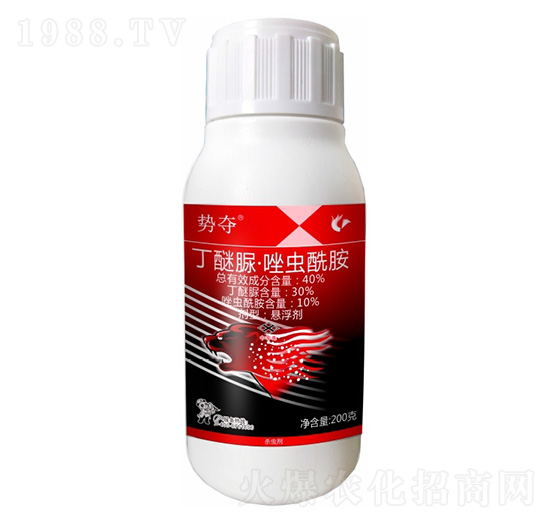 40%�����塤���x(ch��ng)����-��(sh��)�Z-����¡����