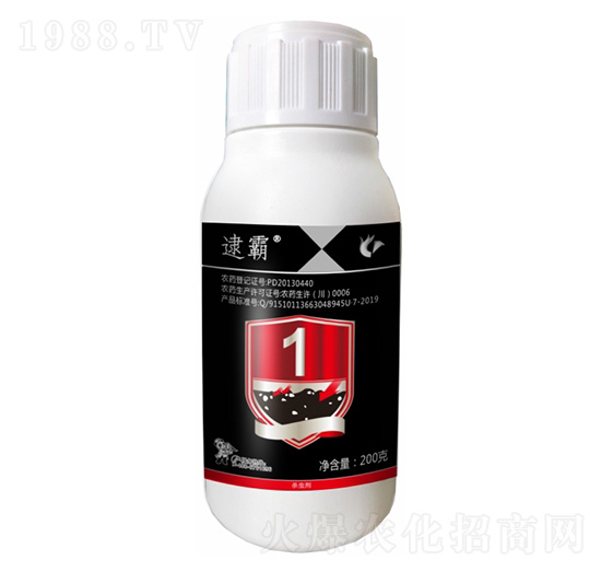 50��/�����������-����-����¡����