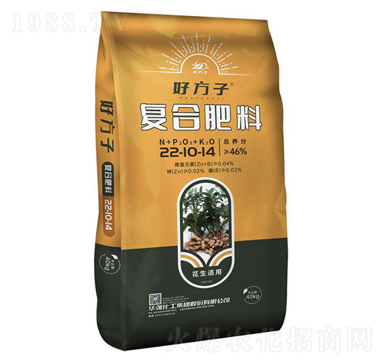 �����m�ÏͺϷ���22-10-14-�÷���-�A���������F