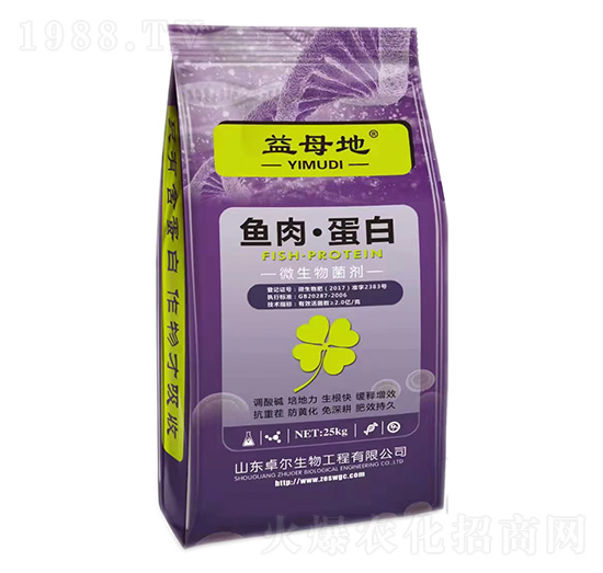 �~(y��)�⡤����-��ĸ��-׿������