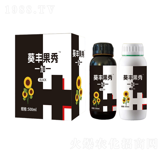 ���S����-�r���r�I(y��)