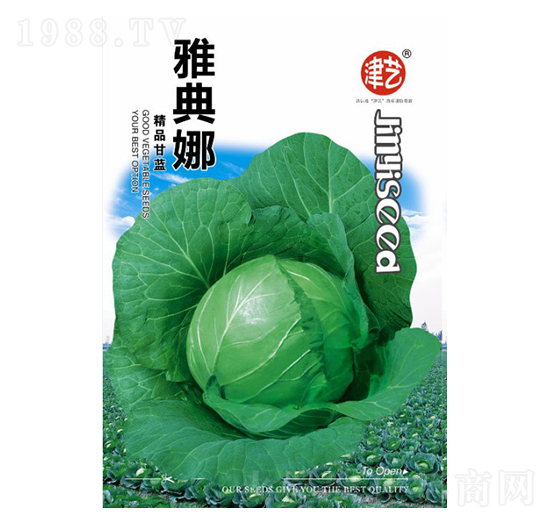 甘藍(lán)種子-雅典娜-邯豐農(nóng)業(yè)